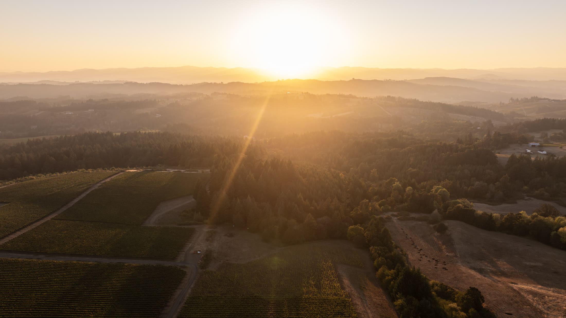 Aerial sunrise view over the Chehalem Mountains and Cascades